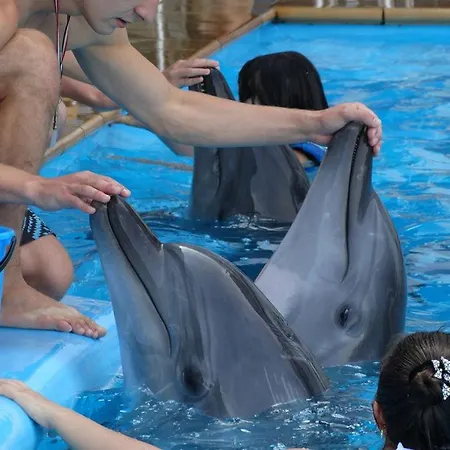 דירה Otrada две спальни на французском бульваре, Centre, Delux большой *