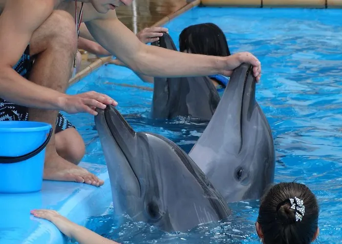 Appartamento Otrada две спальни на французском бульваре, Centre, Delux большой *